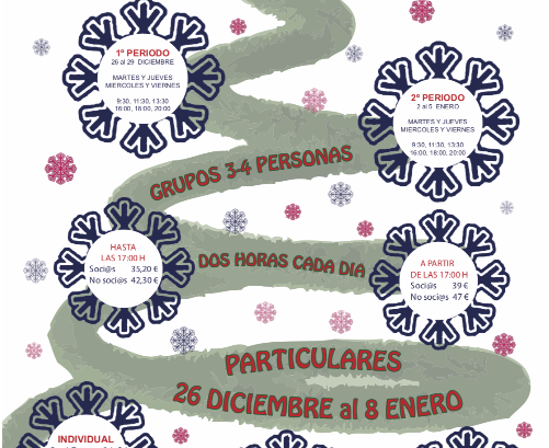Cursos intensivos de navidad